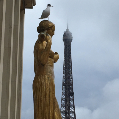 Golden statue near the Tour Eiffel, Paris, France. A seagull on top of the sculpture.